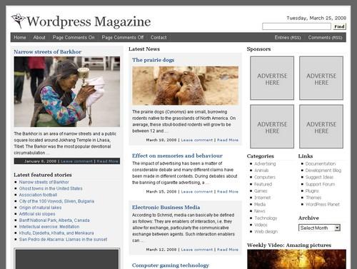 wordpress_magazine.jpg