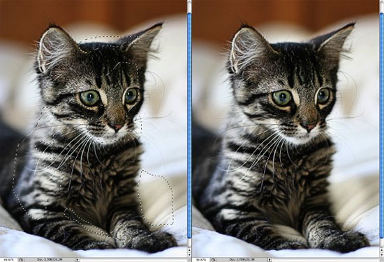 Enchancing Photos with High Pass Filter - preview.
