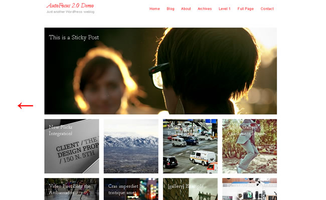 free-photography-wordpress-theme-7