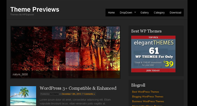 free-wordpress-themes-09