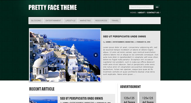 free-wordpress-themes-24