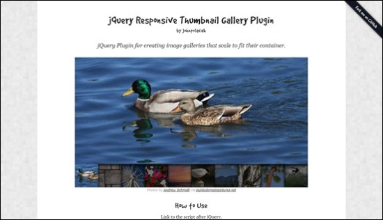 Free Responsive jQuery Slider and Gallery Plugin