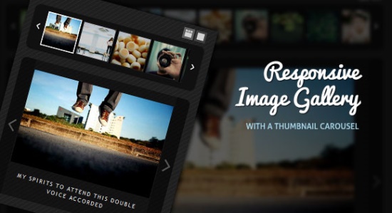 Responsive Image Gallery with Thumbnail Carousel